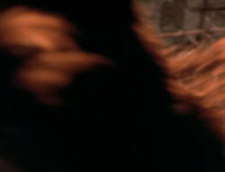 extant_XenaWarriorPrincess_5x04-AnimalAttraction_3243