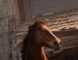 extant_XenaWarriorPrincess_5x04-AnimalAttraction_3271