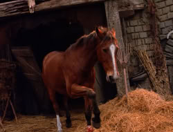 extant_XenaWarriorPrincess_5x04-AnimalAttraction_3288