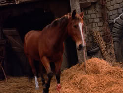 extant_XenaWarriorPrincess_5x04-AnimalAttraction_3291