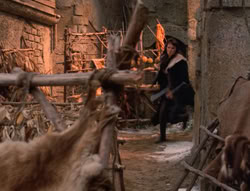 extant_XenaWarriorPrincess_5x04-AnimalAttraction_3301