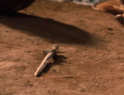 extant_XenaWarriorPrincess_5x04-AnimalAttraction_3306