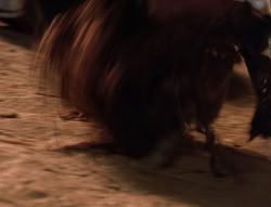 extant_XenaWarriorPrincess_5x04-AnimalAttraction_3307