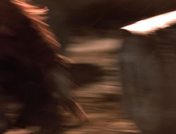 extant_XenaWarriorPrincess_5x04-AnimalAttraction_3349
