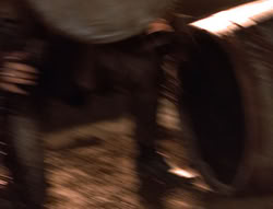 extant_XenaWarriorPrincess_5x04-AnimalAttraction_3350