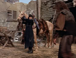 extant_XenaWarriorPrincess_5x04-AnimalAttraction_3499