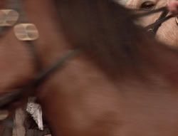 extant_XenaWarriorPrincess_5x04-AnimalAttraction_3513