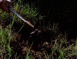 extant_XenaWarriorPrincess_5x05-ThemBonesThemBones_0001