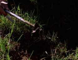 extant_XenaWarriorPrincess_5x05-ThemBonesThemBones_0002