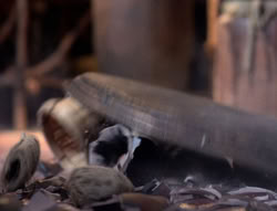 extant_XenaWarriorPrincess_5x05-ThemBonesThemBones_0138