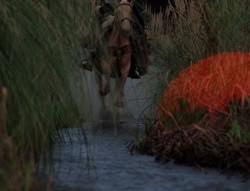 extant_XenaWarriorPrincess_5x05-ThemBonesThemBones_0289
