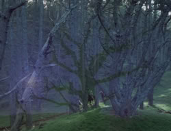 extant_XenaWarriorPrincess_5x05-ThemBonesThemBones_0325