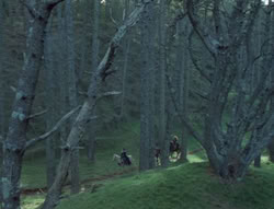 extant_XenaWarriorPrincess_5x05-ThemBonesThemBones_0326