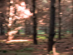 extant_XenaWarriorPrincess_5x05-ThemBonesThemBones_0660