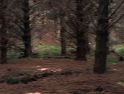 extant_XenaWarriorPrincess_5x05-ThemBonesThemBones_0669