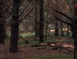 extant_XenaWarriorPrincess_5x05-ThemBonesThemBones_0670
