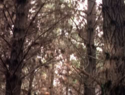 extant_XenaWarriorPrincess_5x05-ThemBonesThemBones_0679