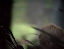 extant_XenaWarriorPrincess_5x05-ThemBonesThemBones_0685
