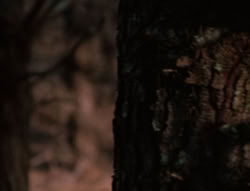 extant_XenaWarriorPrincess_5x05-ThemBonesThemBones_0693