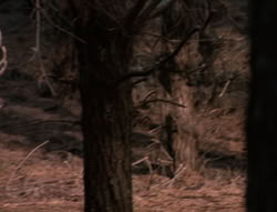 extant_XenaWarriorPrincess_5x05-ThemBonesThemBones_0694