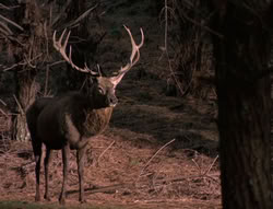 extant_XenaWarriorPrincess_5x05-ThemBonesThemBones_0696