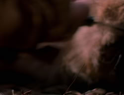 extant_XenaWarriorPrincess_5x05-ThemBonesThemBones_0734