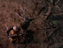 extant_XenaWarriorPrincess_5x05-ThemBonesThemBones_0743