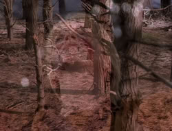 extant_XenaWarriorPrincess_5x05-ThemBonesThemBones_0762