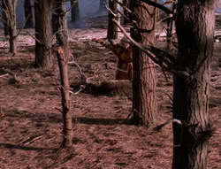 extant_XenaWarriorPrincess_5x05-ThemBonesThemBones_0764