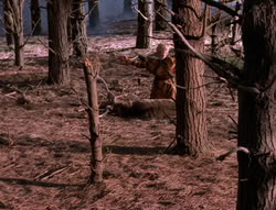 extant_XenaWarriorPrincess_5x05-ThemBonesThemBones_0765