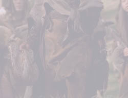 extant_XenaWarriorPrincess_5x05-ThemBonesThemBones_0776