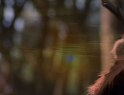 extant_XenaWarriorPrincess_5x05-ThemBonesThemBones_0797