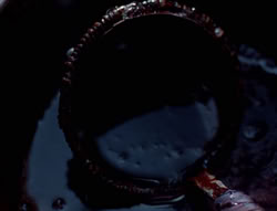 extant_XenaWarriorPrincess_5x05-ThemBonesThemBones_0894