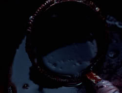 extant_XenaWarriorPrincess_5x05-ThemBonesThemBones_0895