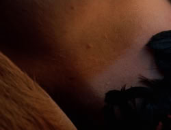 extant_XenaWarriorPrincess_5x05-ThemBonesThemBones_1284