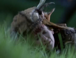 extant_XenaWarriorPrincess_5x05-ThemBonesThemBones_1322
