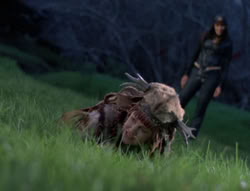 extant_XenaWarriorPrincess_5x05-ThemBonesThemBones_1340