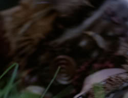 extant_XenaWarriorPrincess_5x05-ThemBonesThemBones_1391