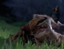 extant_XenaWarriorPrincess_5x05-ThemBonesThemBones_1392