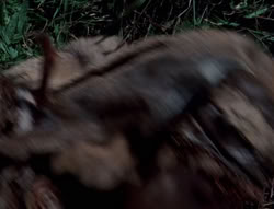 extant_XenaWarriorPrincess_5x05-ThemBonesThemBones_1395