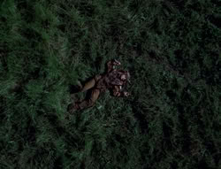 extant_XenaWarriorPrincess_5x05-ThemBonesThemBones_1423