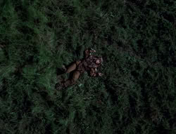 extant_XenaWarriorPrincess_5x05-ThemBonesThemBones_1424