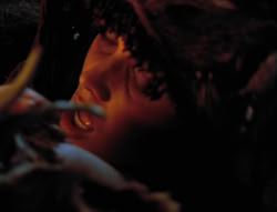 extant_XenaWarriorPrincess_5x05-ThemBonesThemBones_1435