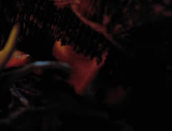 extant_XenaWarriorPrincess_5x05-ThemBonesThemBones_1438