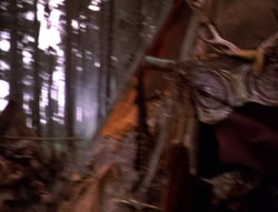 extant_XenaWarriorPrincess_5x05-ThemBonesThemBones_1577