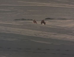 extant_XenaWarriorPrincess_5x05-ThemBonesThemBones_1644