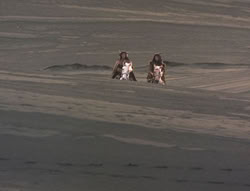 extant_XenaWarriorPrincess_5x05-ThemBonesThemBones_1646