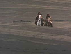 extant_XenaWarriorPrincess_5x05-ThemBonesThemBones_1649