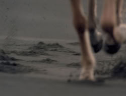extant_XenaWarriorPrincess_5x05-ThemBonesThemBones_1656