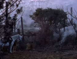 extant_XenaWarriorPrincess_5x05-ThemBonesThemBones_1787